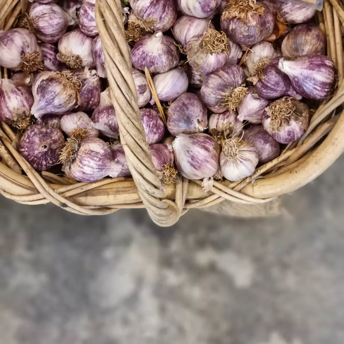 The Most Underrated Super Food: Garlic