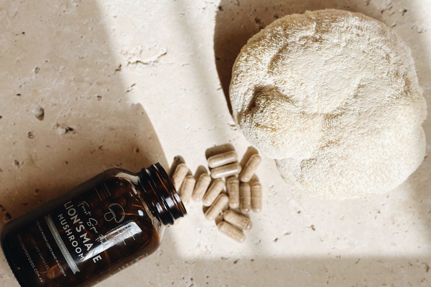 The Comprehensive Guide to Lion’s Mane Benefits, Risks and Buyer’s Guide