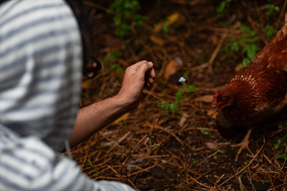 Peck Your Way To Better Health