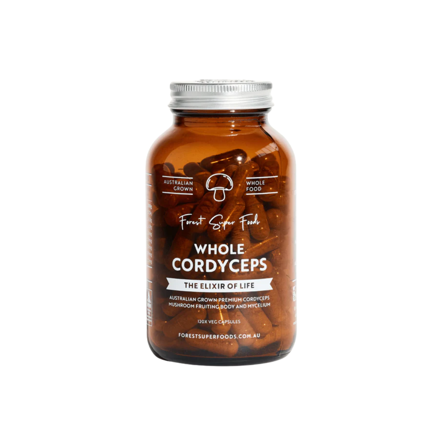 Mushroom characteristics, mushroom au, cordyceps mushrooms Australia, energy boost