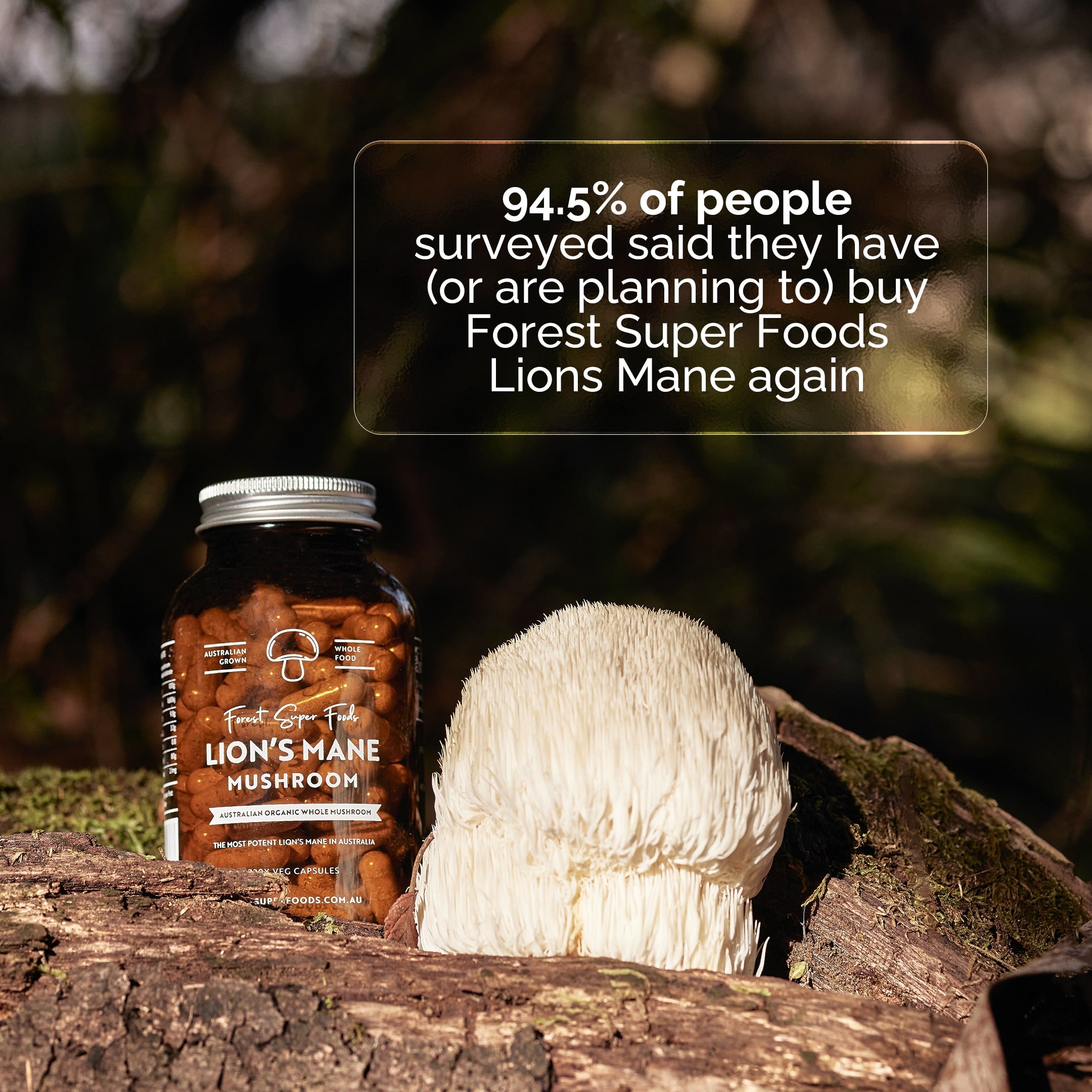 Australian Lions Mane Capsules