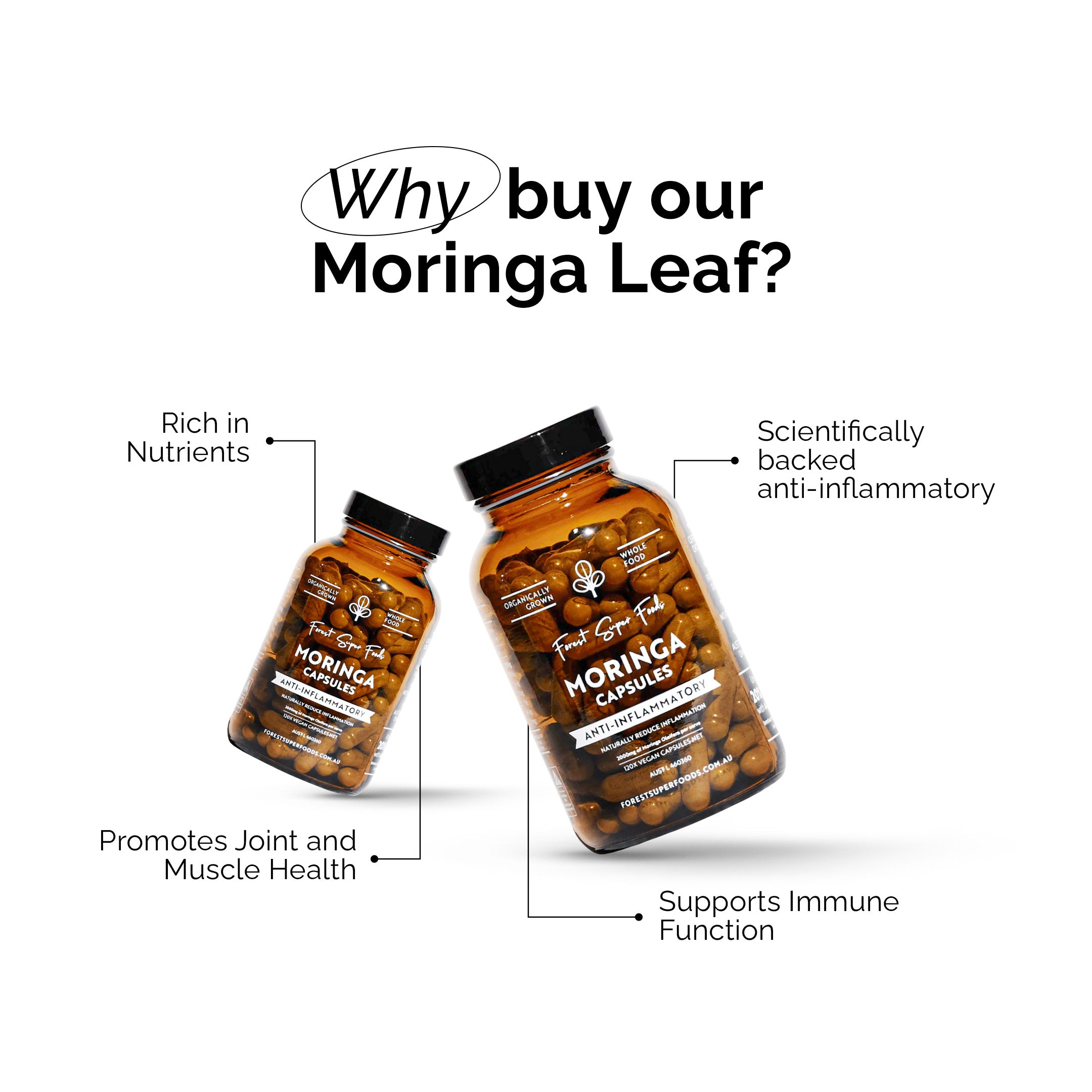 Organic Moringa Capsules