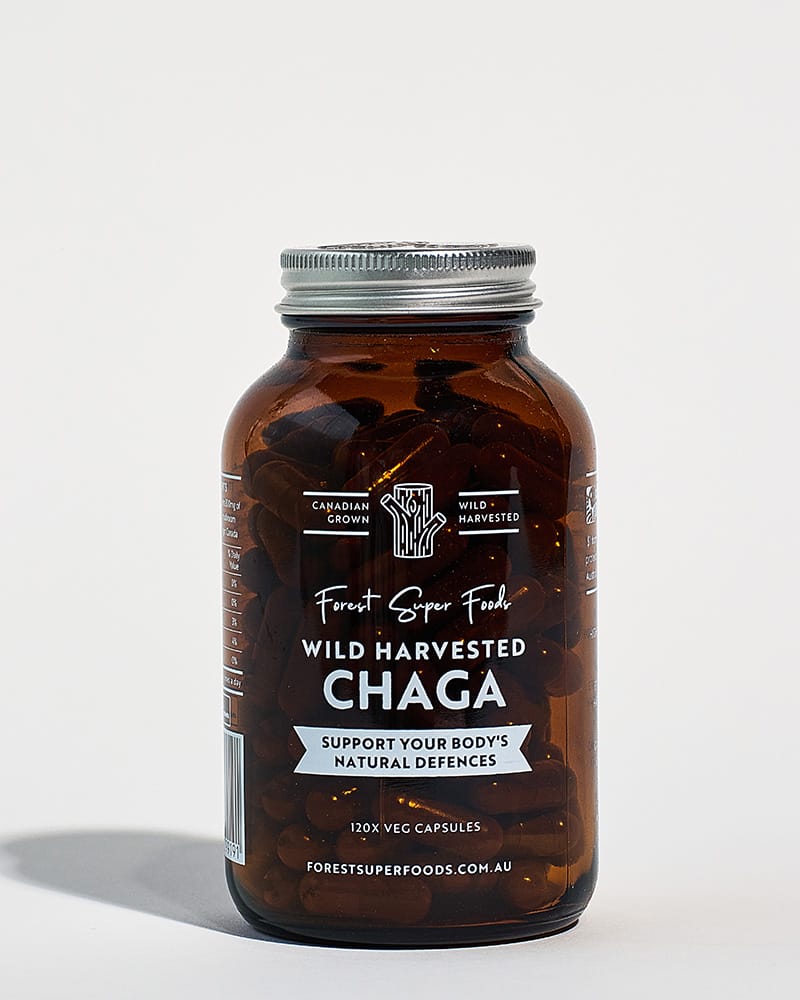 Wild Chaga Mushroom (Canada)