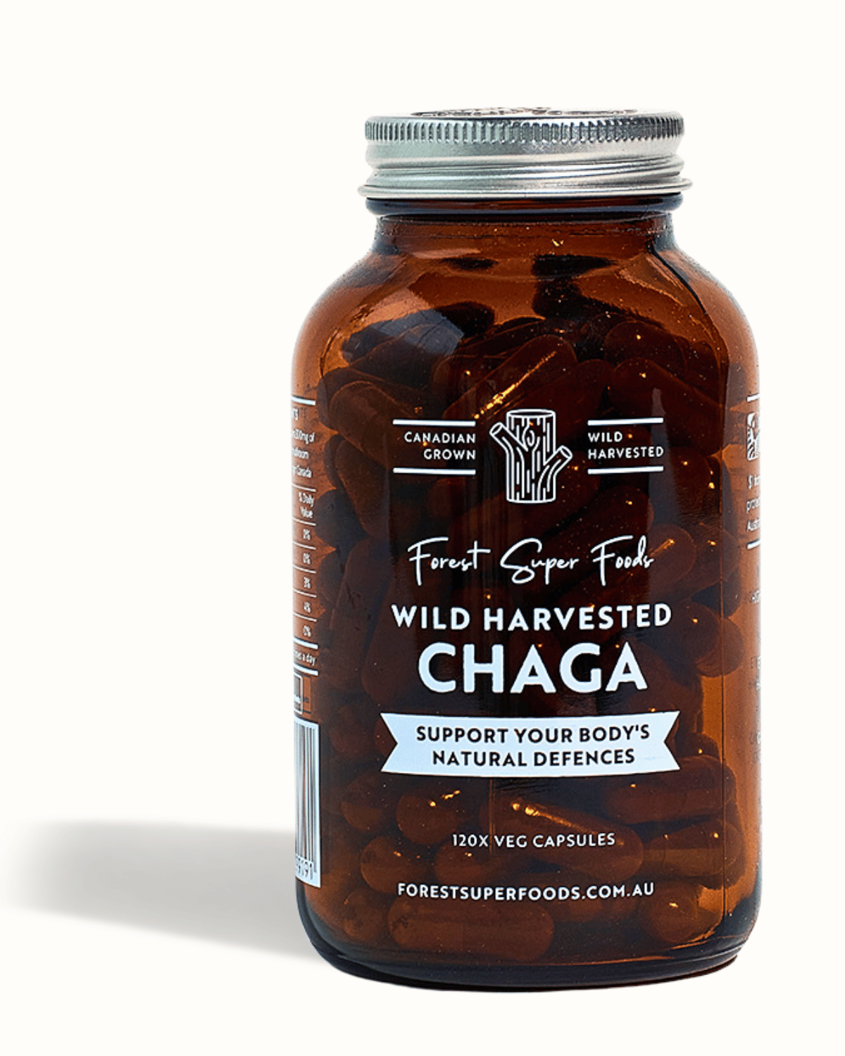 Wild Chaga Mushroom (Canada)