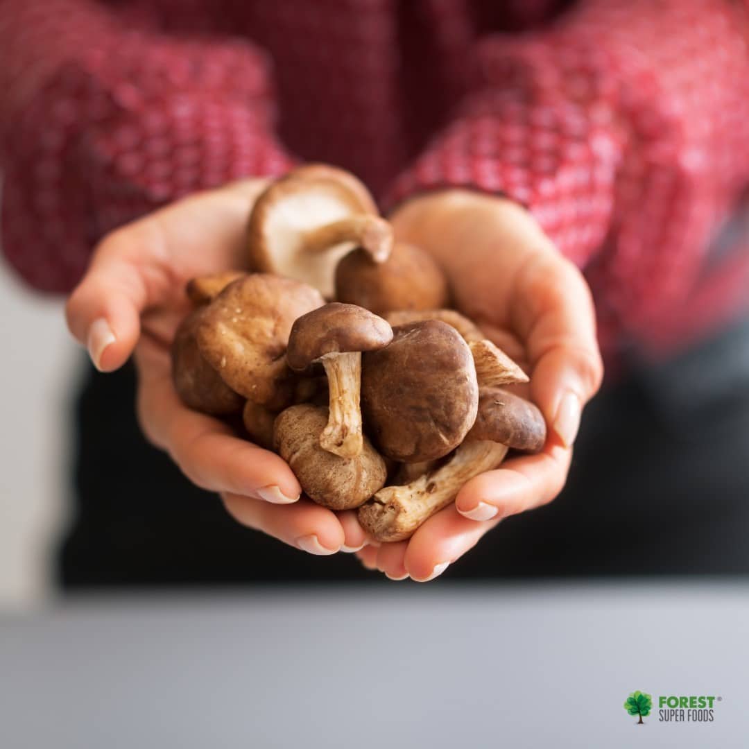 Australian Organic Shiitake Whole Mushroom